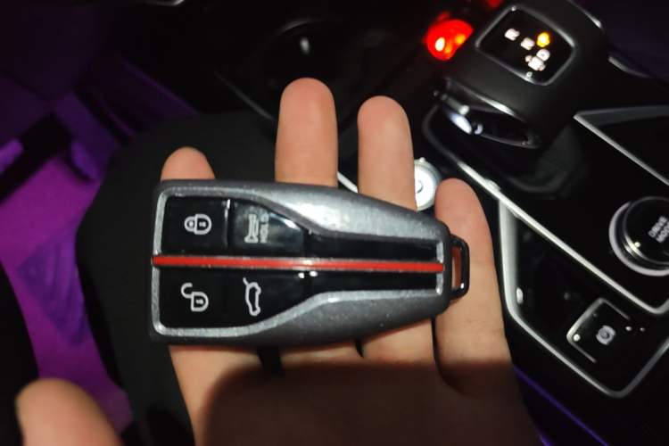 Used Hongqi HS5 2022 Facelifted Version 2.0T Smart Connect Flagship All-Wheel-Drive Edition Vehicle Key