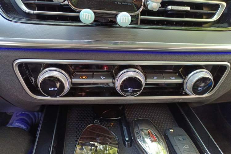 Used Hongqi HS5 2023 2.0T Four-Wheel Drive Flagship Pro Edition Audio And AC Panel
