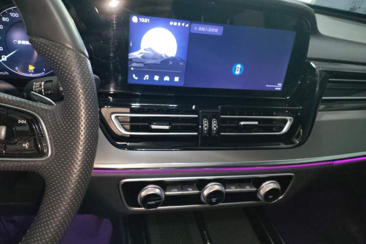 Used Hongqi HS5 2023 2.0T Qixiang Pro Edition Audio And AC Panel