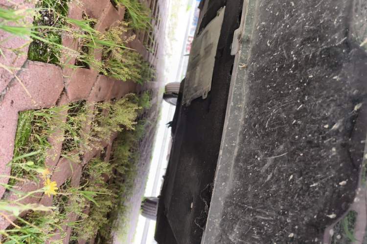 Used Hongqi HS5 2023 2.0T Qixiang Pro Edition Chassis Front