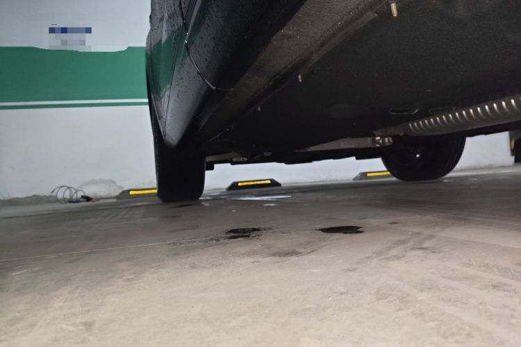 Used Hongqi HS5 2023 2.0T Qixiang Pro Edition Chassis Rear Left