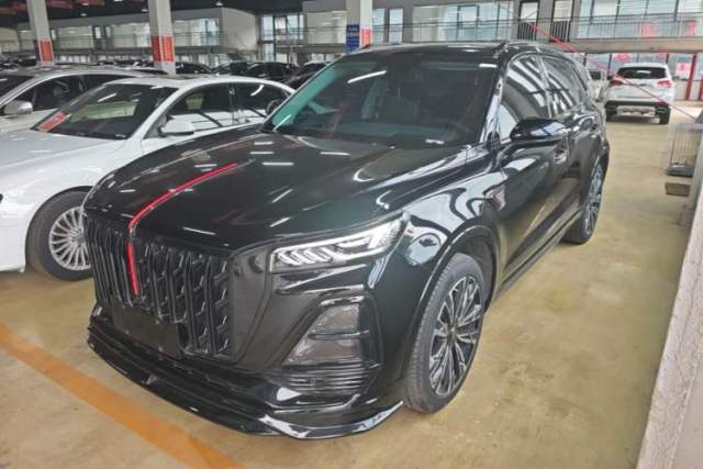 Gebrauchter Hongqi HS5 2023 2.0T Four-Wheel Drive Flagship Pro Edition