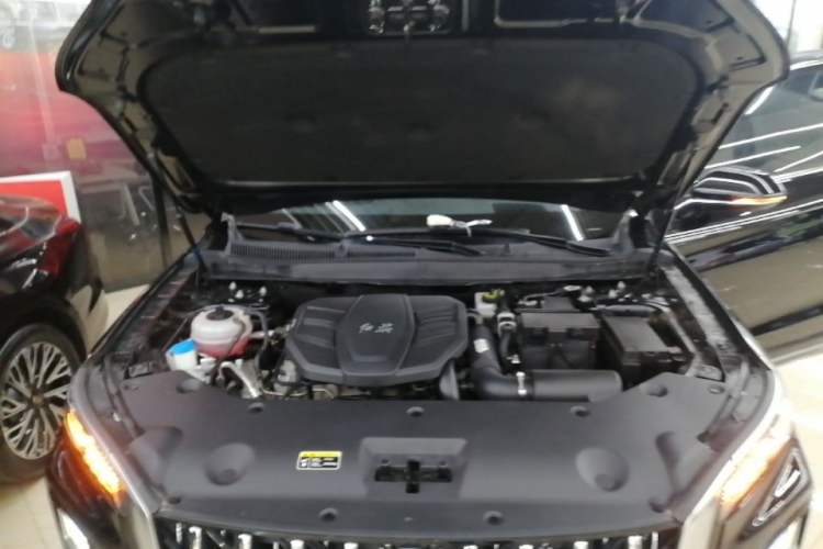 Used Hongqi HS5 2023 2.0T Qixiang Pro Edition Engine Bay