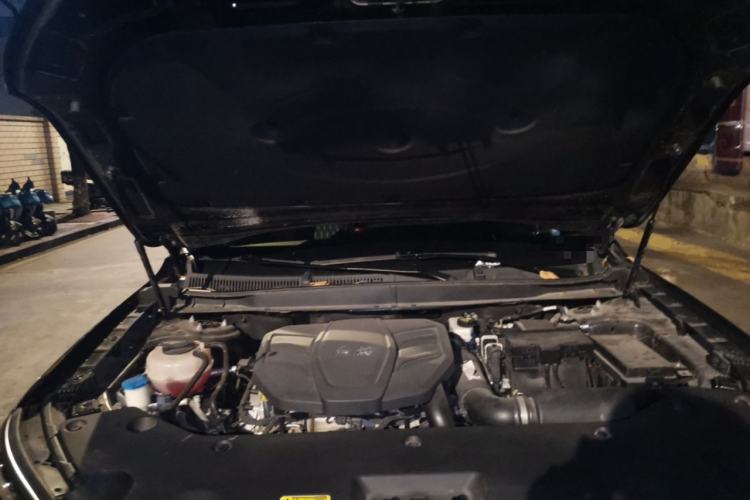 Used Hongqi HS5 2023 2.0T Four-Wheel Drive Flagship Pro Edition Engine Bay