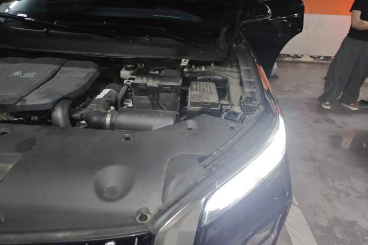 Used Hongqi HS5 2023 2.0T Qixiang Pro Edition Engine Bay Left