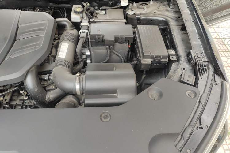 Used Hongqi HS5 2023 2.0T Qixiang Pro 500 000th Unit Commemorative Edition Engine Bay Left
