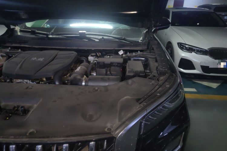 Used Hongqi HS5 2023 2.0T Qixiang Pro Edition Engine Bay Left