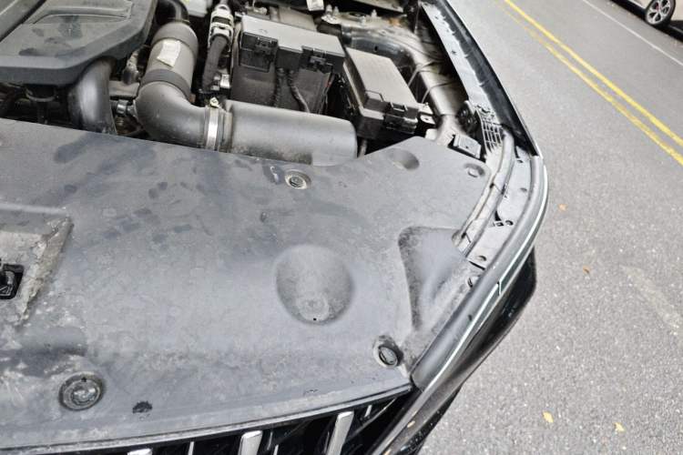 Used Hongqi HS5 2023 2.0T Qixiang Pro Edition Engine Bay Left