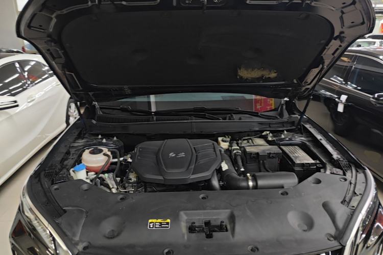 Used Hongqi HS5 2023 2.0T Qixiang Pro Edition Engine Bay
