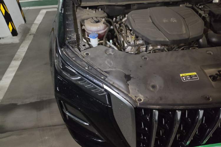 Used Hongqi HS5 2023 2.0T Qixiang Pro Edition Engine Bay Right