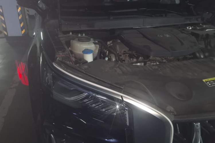 Used Hongqi HS5 2023 2.0T Qixiang Pro 500 000th Unit Commemorative Edition Engine Bay Right