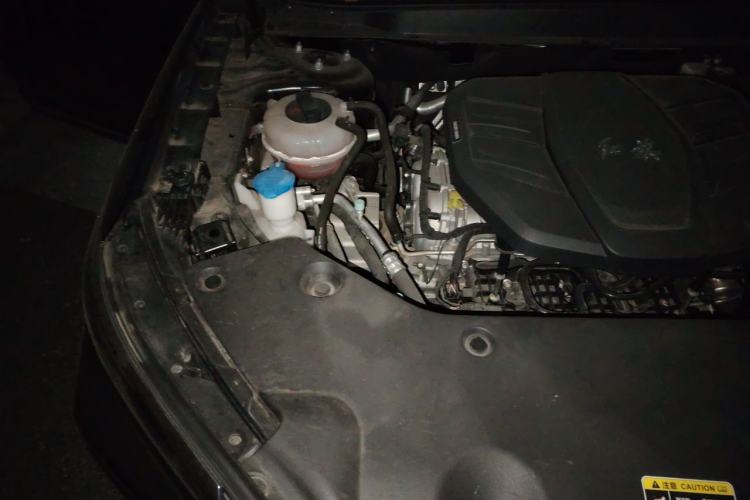 Used Hongqi HS5 2023 2.0T Qixiang Pro Edition Engine Bay Right
