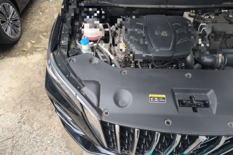 Used Hongqi HS5 2023 2.0T Qixiang Pro Edition Engine Bay Right