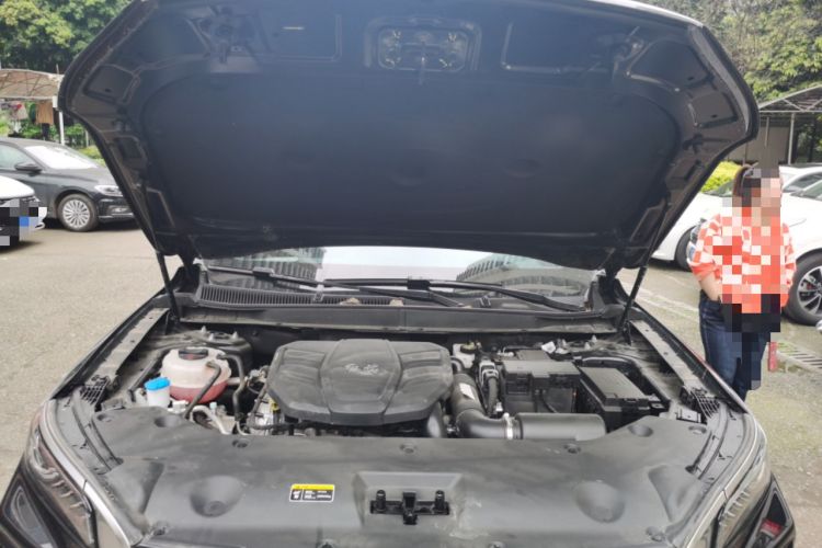 Used Hongqi HS5 2023 2.0T Qixiang Pro Edition Engine Bay