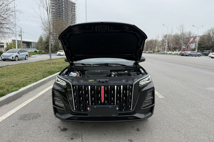 Used Hongqi HS5 2023 2.0T Four-Wheel Drive Flagship Pro Edition Exterior 1