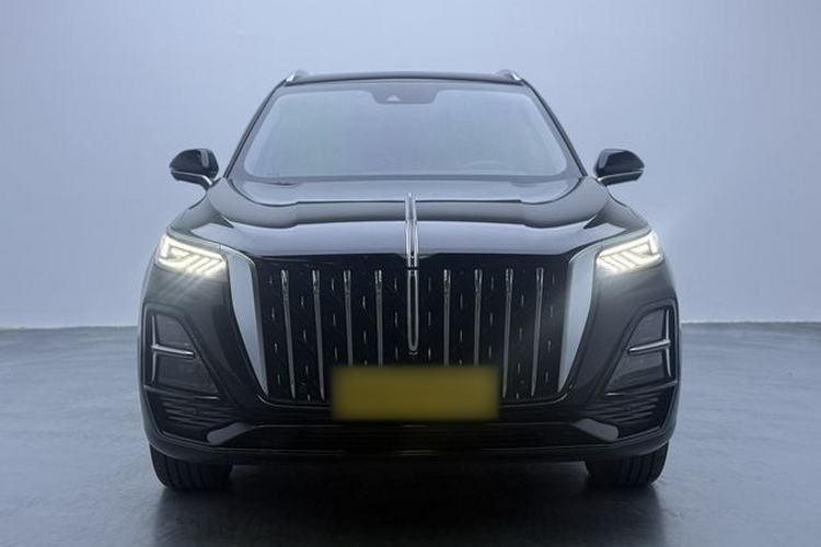 Used Hongqi HS5 2023 2.0T Qixiang Pro Edition Exterior 1