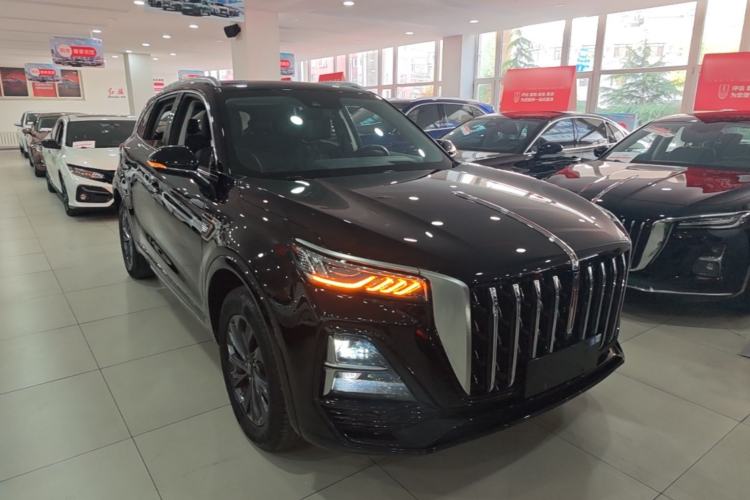 Used Hongqi HS5 2023 2.0T Qixiang Pro 500 000th Unit Commemorative Edition Exterior 1