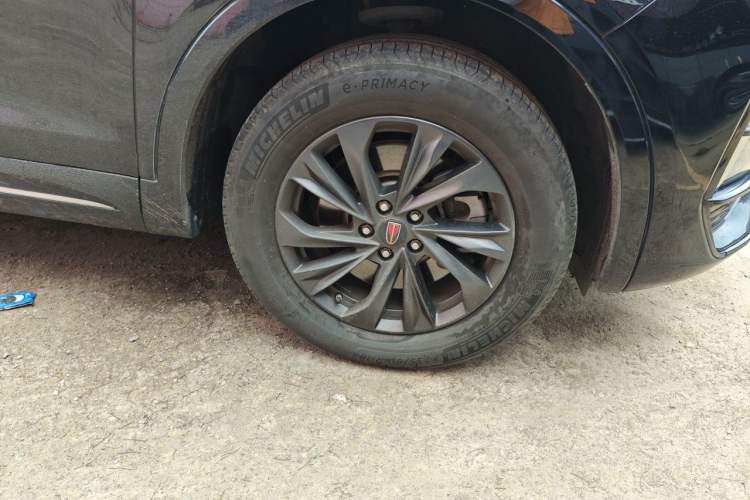 Used Hongqi HS5 2023 2.0T Qixiang Pro Edition Exterior 1
