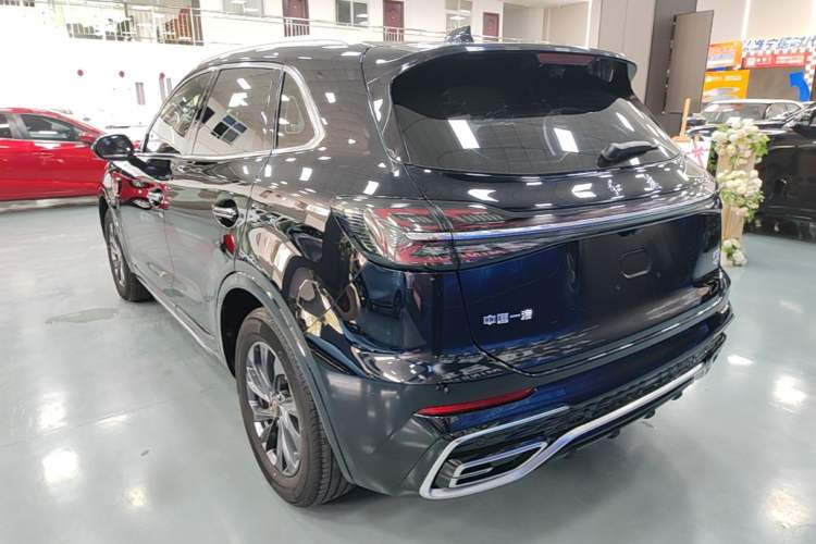 Used Hongqi HS5 2023 2.0T Qixiang Pro Edition Exterior 2