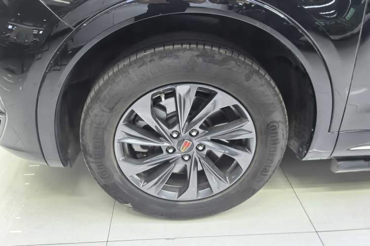 Used Hongqi HS5 2023 2.0T Qixiang Pro Edition Exterior 2