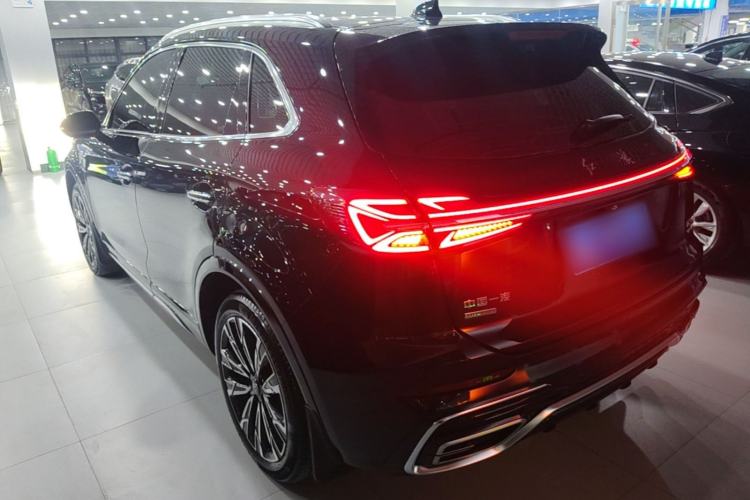 Used Hongqi HS5 2023 2.0T Four-Wheel Drive Flagship Pro Edition Exterior 2