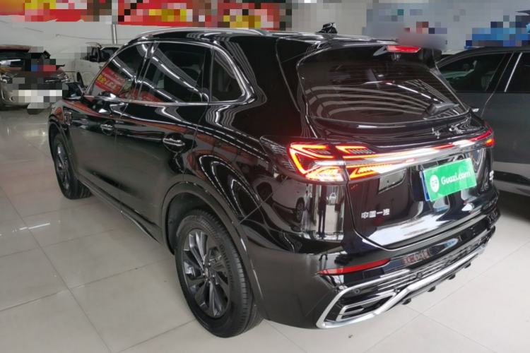 Used Hongqi HS5 2023 2.0T Qixiang Pro Edition Exterior 2