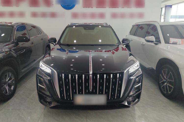 Used Hongqi HS5 2023 2.0T Four-Wheel Drive Flagship Pro Edition Exterior 2