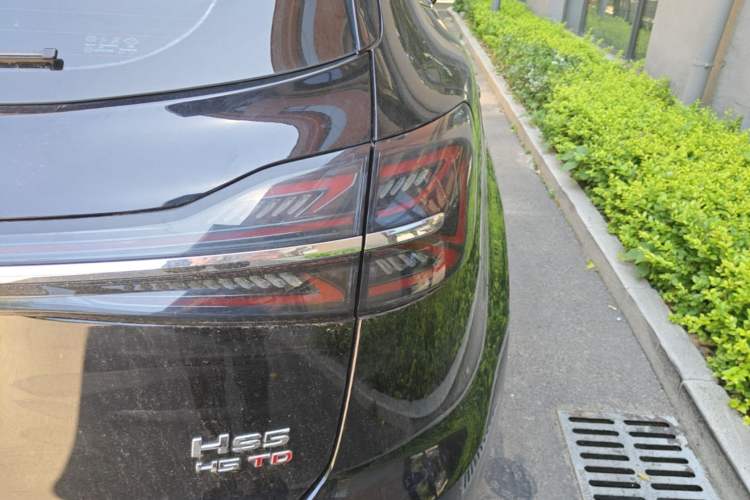 Used Hongqi HS5 2023 2.0T Four-Wheel Drive Flagship Pro Edition Exterior 3