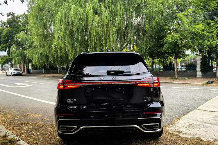 Used Hongqi HS5 2023 2.0T Four-Wheel Drive Flagship Pro Edition Exterior 3