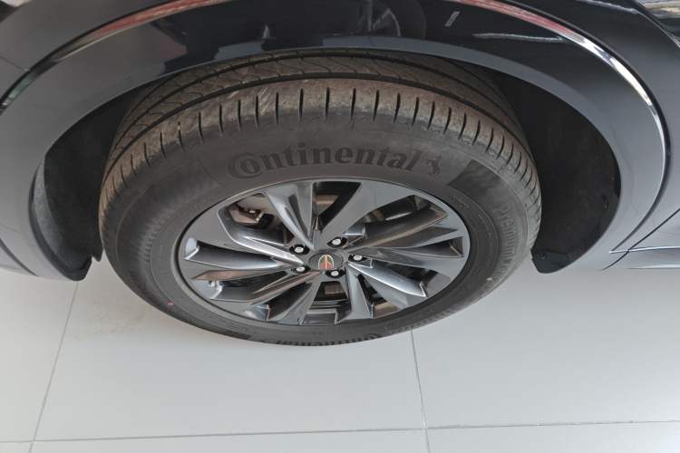 Used Hongqi HS5 2023 2.0T Qixiang Pro Edition Exterior 4