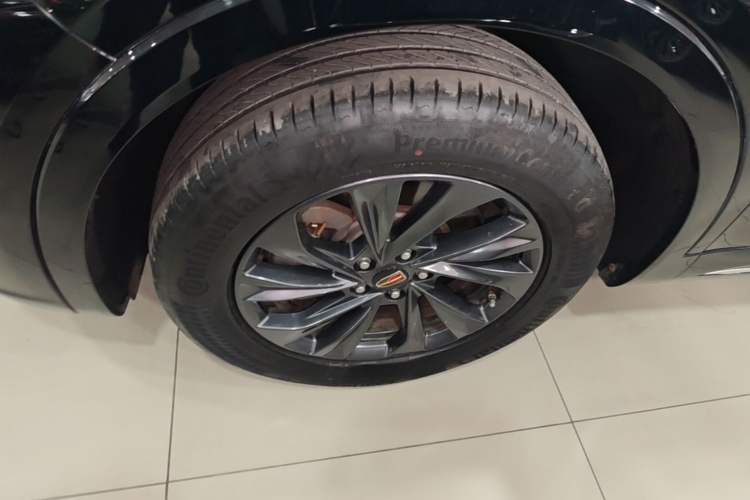 Used Hongqi HS5 2023 2.0T Qixiang Pro 500 000th Unit Commemorative Edition Exterior 4