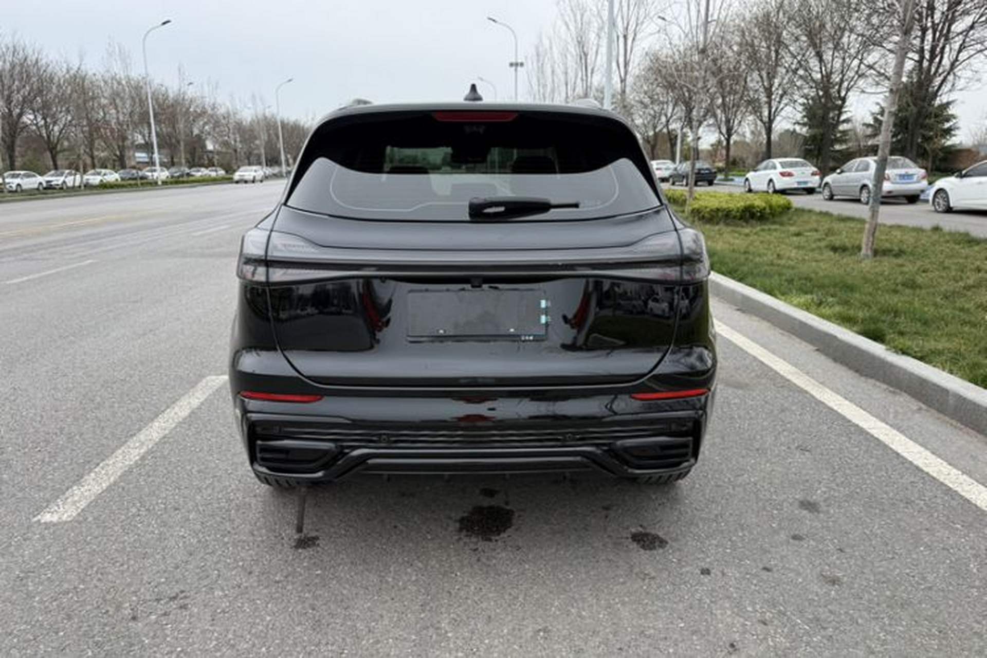 Used Hongqi HS5 2023 2.0T Four-Wheel Drive Flagship Pro Edition Exterior 5