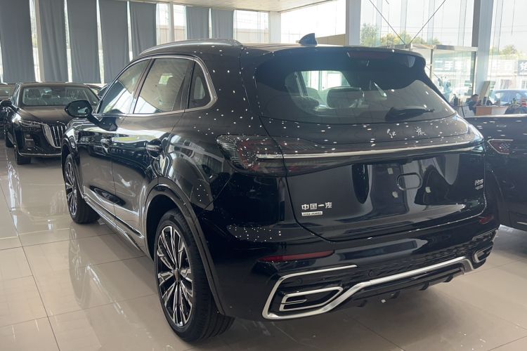Used Hongqi HS5 2023 2.0T Four-Wheel Drive Flagship Pro Edition Exterior 5