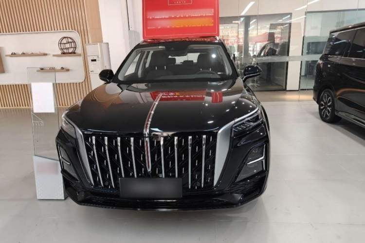 Used Hongqi HS5 2023 2.0T Qixiang Pro Edition Exterior 5