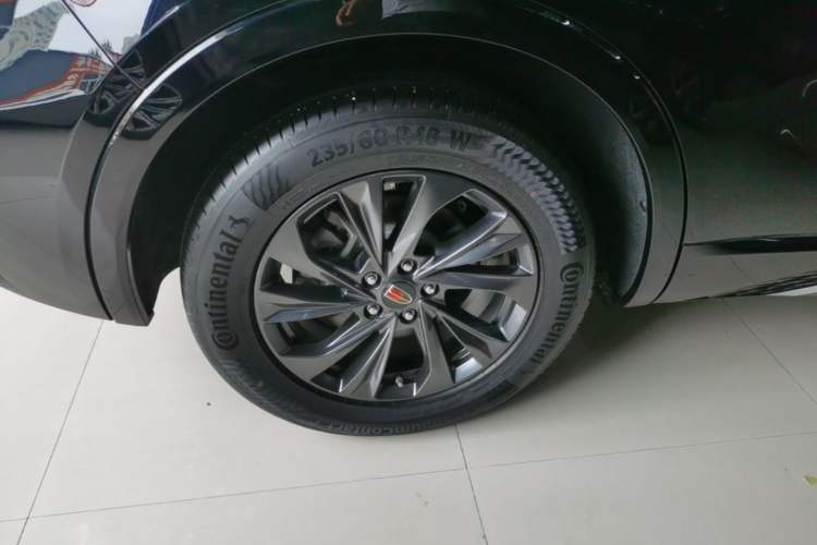Used Hongqi HS5 2023 2.0T Qixiang Pro Edition Exterior 5