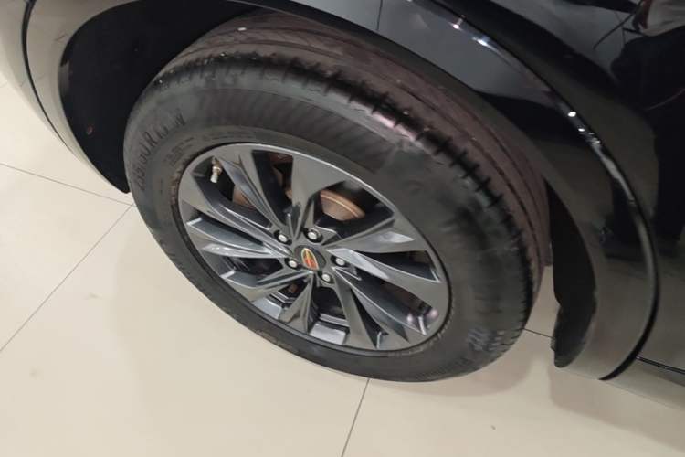 Used Hongqi HS5 2023 2.0T Qixiang Pro 500 000th Unit Commemorative Edition Exterior 5