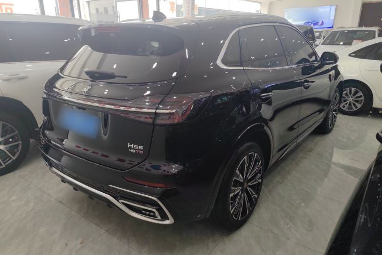 Used Hongqi HS5 2023 2.0T Four-Wheel Drive Flagship Pro Edition Exterior 6