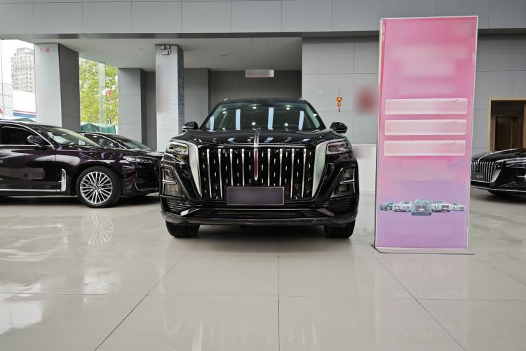 Used Hongqi HS5 2023 2.0T Four-Wheel Drive Flagship Pro Edition Exterior 7