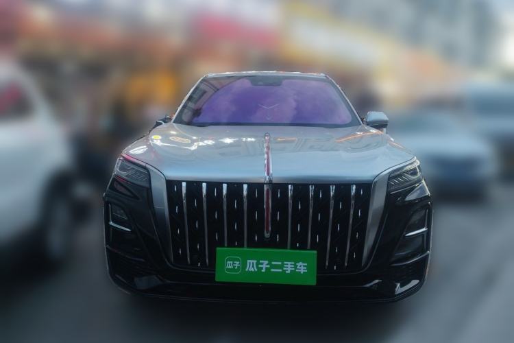 Used Hongqi HS5 2023 2.0T Qixiang Pro 500 000th Unit Commemorative Edition Front