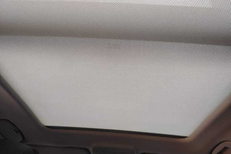 Used Hongqi HS5 2023 2.0T Qixiang Pro Edition Headliner