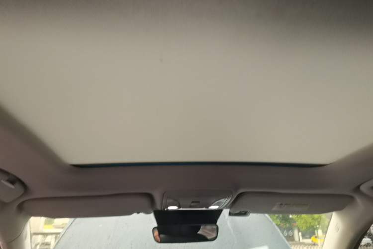 Used Hongqi HS5 2023 2.0T Four-Wheel Drive Flagship Pro Edition Headliner