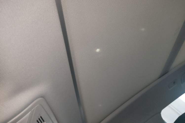 Used Hongqi HS5 2023 2.0T Qixiang Pro Edition Headliner