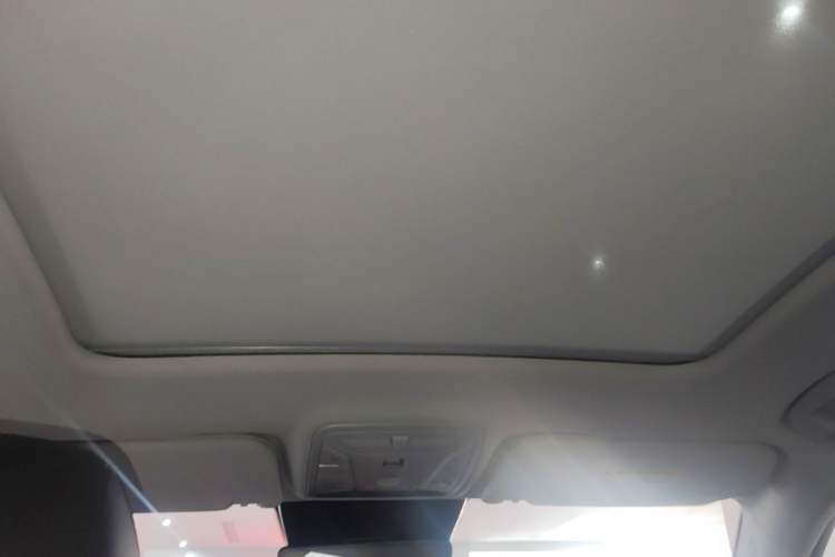 Used Hongqi HS5 2023 2.0T Qixiang Pro Edition Headliner