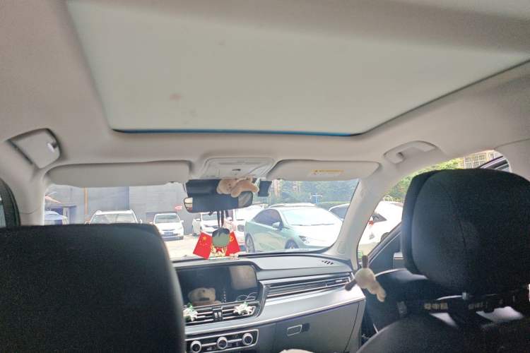 Used Hongqi HS5 2023 2.0T Qixiang Pro Edition Headliner