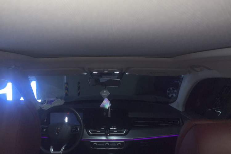 Used Hongqi HS5 2023 2.0T Qixiang Pro 500 000th Unit Commemorative Edition Headliner