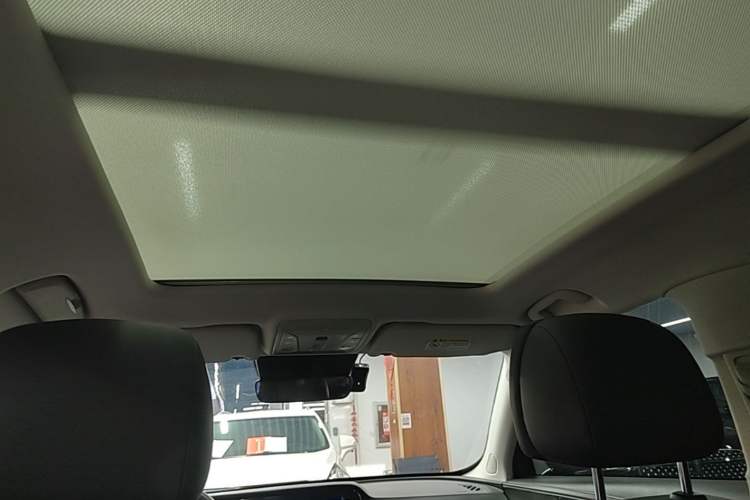 Used Hongqi HS5 2023 2.0T Qixiang Pro Edition Headliner
