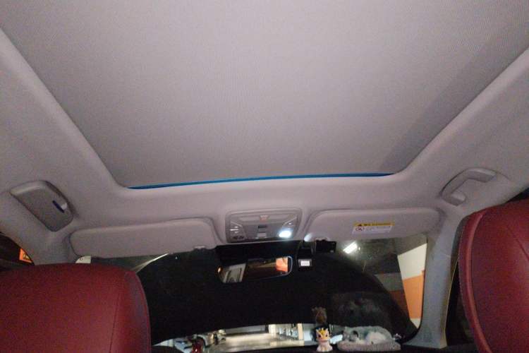 Used Hongqi HS5 2023 2.0T Qixiang Pro Edition Headliner
