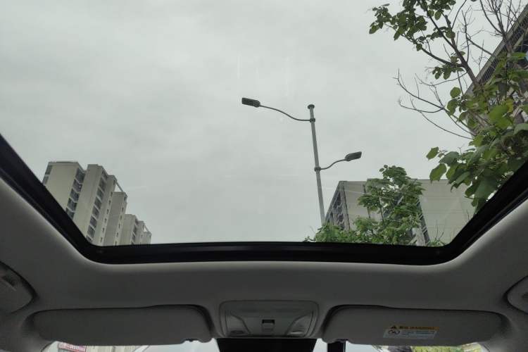 Used Hongqi HS5 2023 2.0T Qixiang Pro Edition Headliner