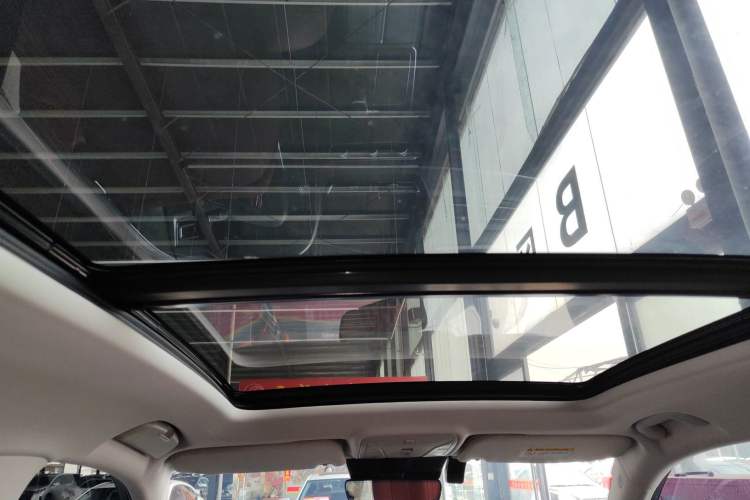 Used Hongqi HS5 2023 2.0T Qixiang Pro Edition Headliner