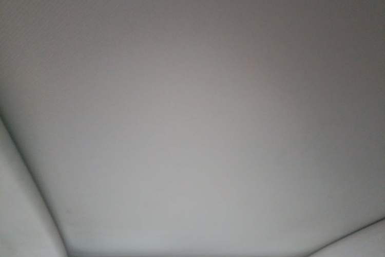 Used Hongqi HS5 2023 2.0T Qixiang Pro Edition Headliner